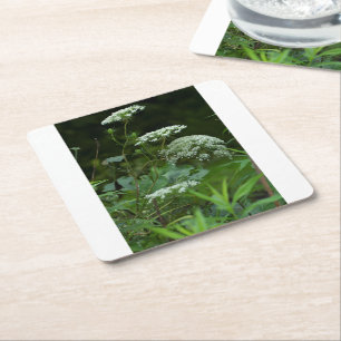 Carré dessous de verre papier sq modèle