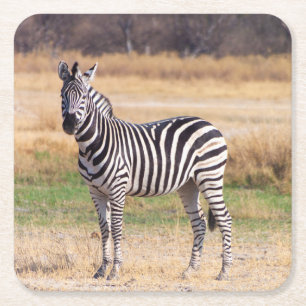 Carré Dessous de verre Zebra