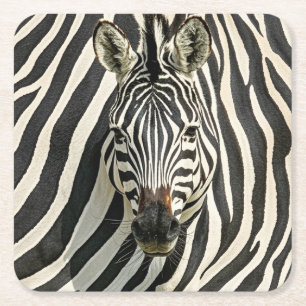 Carré Dessous de verre Zebra