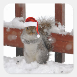 Carré Écureuil Jaunty avec Sticker de Noël Hat Holiday