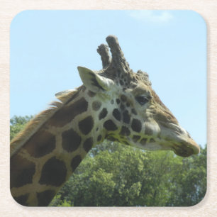 Carré Ensemble de dessous de verre de girafe