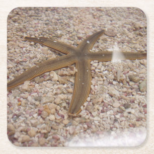 Carré Ensemble de Dessous de verre Starfish