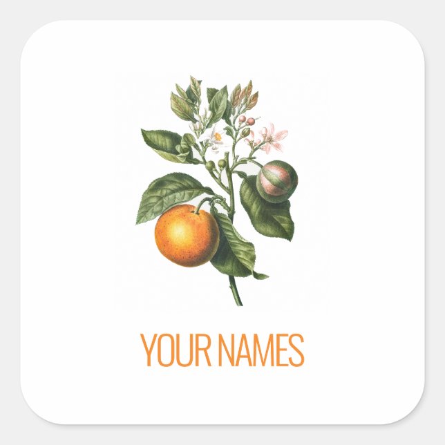 CARRÉ ENVELOPE SEAL STICKER : BITTER ORANGE BLOSSOM (Devant)