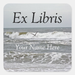 Carré Ex Libris - Sticker Surf et goéland