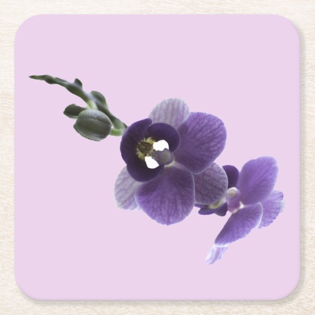 Carré Fleur d'orchidée violette, Dessous de verre en pap (Devant)