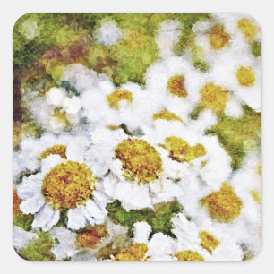 Carré Fleurs de marguerite blanche - Sticker d'art de pe