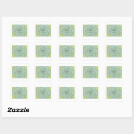 Carré Hand-drawn White Rose Sticker