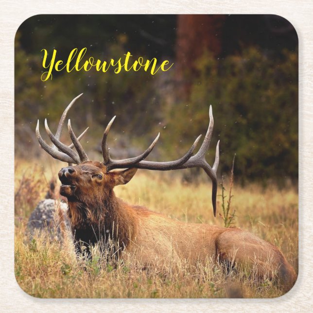 Carré Jeu de Dessous de verre en papier Yellowstone Elk (Devant)