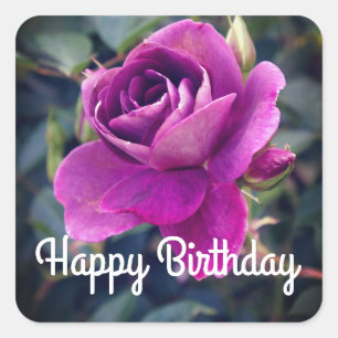 Carré Joyeux Anniversaire Bourgogne Iceberg #2-2 Sticker