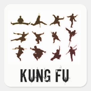 CARRÉ KUNG FU STICKER