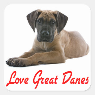 Carré Love Great Dane Chien Chien Sticker / Sceau