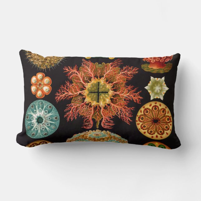 Carré Lumbar Coussin Sea Squirt (Recto)