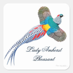 Carré Madame personnalisable Amherst Sticker