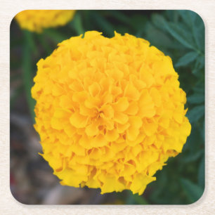Carré Marigold - Fleur Jaune - Dessous de verre