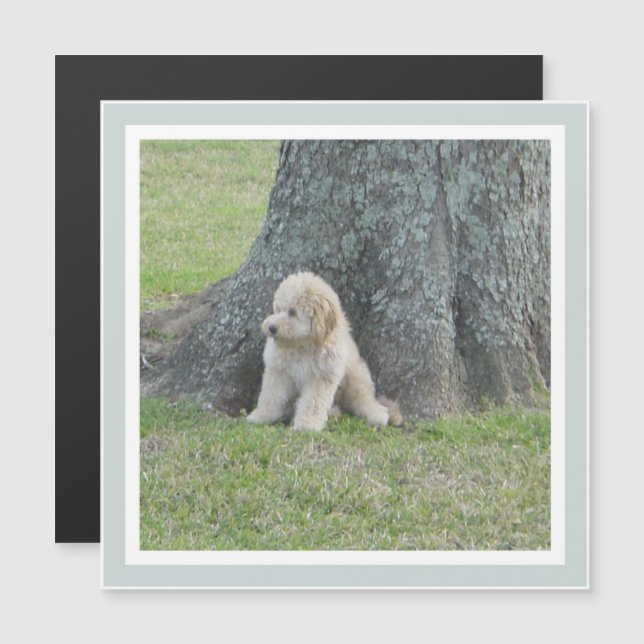 Carré mignon moderne Modèle vert Keepsaké aimant (Devant / Derrière)