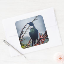 New Zealand Tui Bird Sticker