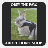 Obéissez au Sticker Paw