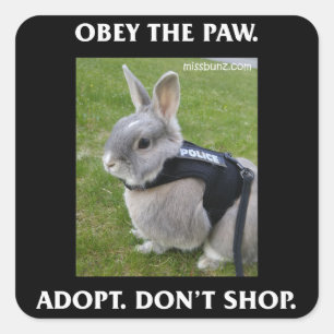 Carré Obéissez au Sticker Paw