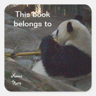 Carré Panda Ce Livre Appartient À, Sticker Plaque De Liv