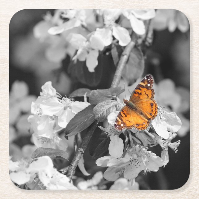 Carré Papillon Américain Lady Sur Le Dessous de verre De (Devant)