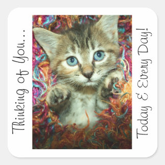 Carré Pensez à vous Sticker Kitten