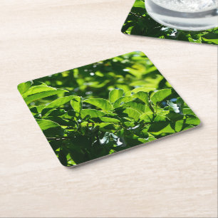 Carré printemps frais, dessous de verre de papier feuill