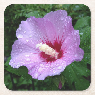 Carré Rose rose de Sharon Dessous de verre
