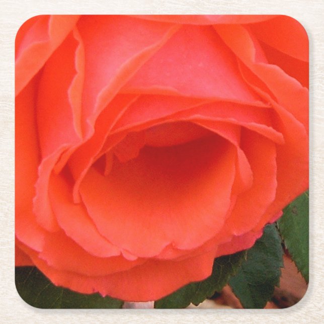 Carré Rose rouge du Dessous de verre d'été (Devant)