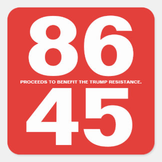 Carré Sticker 86 45 (Trump Resistance)