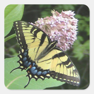 Carré Sticker à papillon jaune