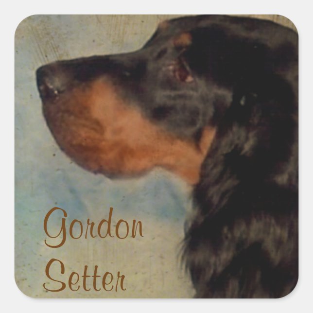 Carré Sticker à Setter Sweet Gordon (Devant)