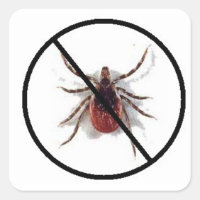 Sticker anti-cliquet