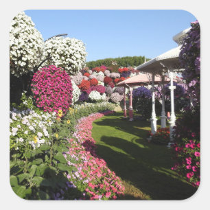Carré Sticker avec Petunias Garden