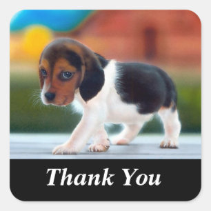 Carré Sticker Chien Chien Merci mignon Beagle