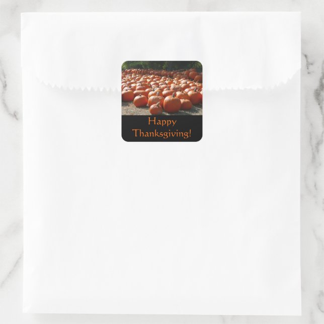 Carré Sticker citrouille Patch Thanksgiving (Sac)