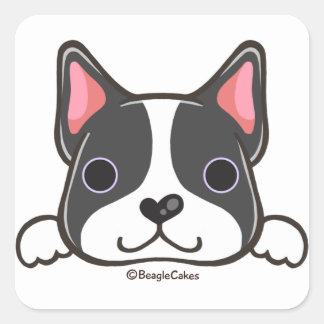 Carré Sticker Curte Boston Terrier