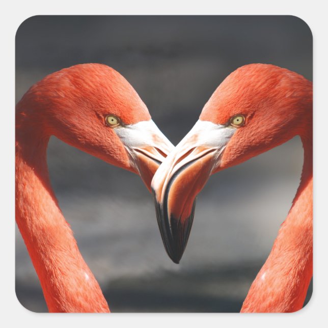 Carré Sticker d'amour Flamant rose rose (Devant)
