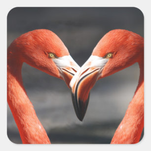 Carré Sticker d'amour Flamant rose rose