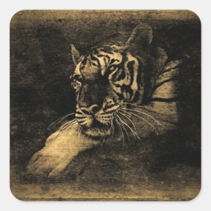 Carré Sticker d'art Vintage Tiger
