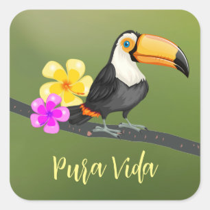 Carré Sticker de design Tropical Toucan Pura Vida