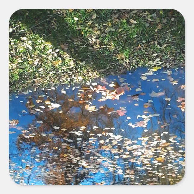 Carré Sticker de Thanksgiving d'automne Miroir Mirror (Devant)
