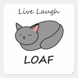 Carré Sticker en direct pour chats gris paille