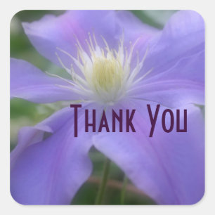Carré Sticker en Merci de Fleur Clematis violet
