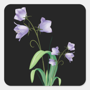 Carré Sticker Floral Noir Fleur Violet / Sceau