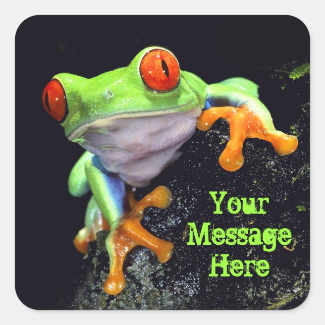 Carré Sticker Frog 3 (Devant)