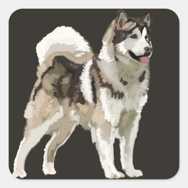 Carré Sticker Husky (Devant)