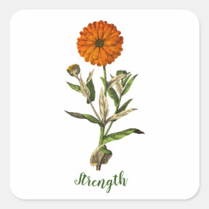Carré Sticker Inspirationnel de Marigold Strength
