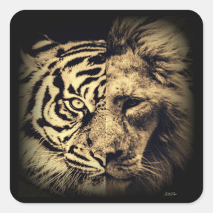 Carré Sticker Lion Tiger 2in1