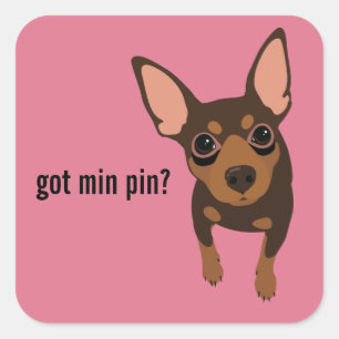Carré Sticker Miniature Pin (Chocolat)