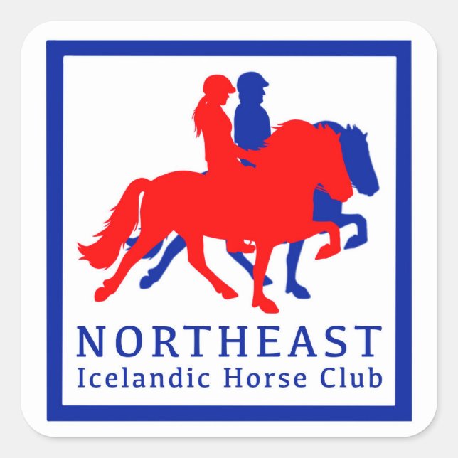 Carré Sticker NEIHC (Devant)